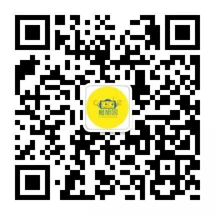 Scratch编程初探 Scratch编程初探