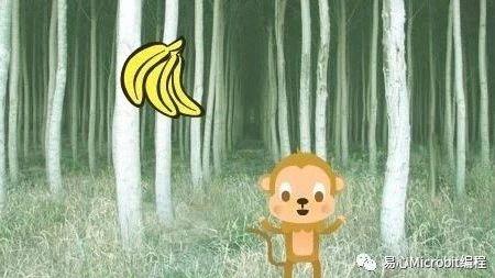Scratch课程：猴子接香蕉