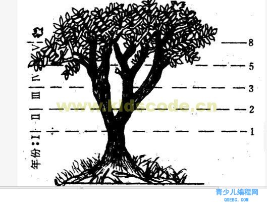 scratch数学应用-实现美丽的斐波那契数列