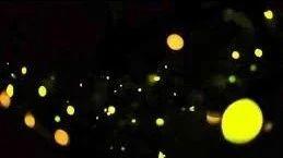 Micro:bit 创意课程系列 -- Fireflies 萤火虫