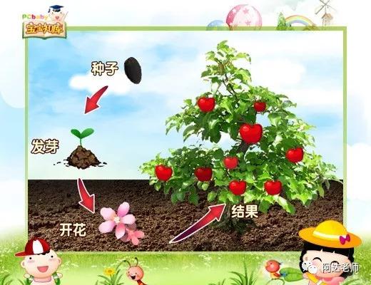 生物是什么？咱们一起用Scratch做一个吧