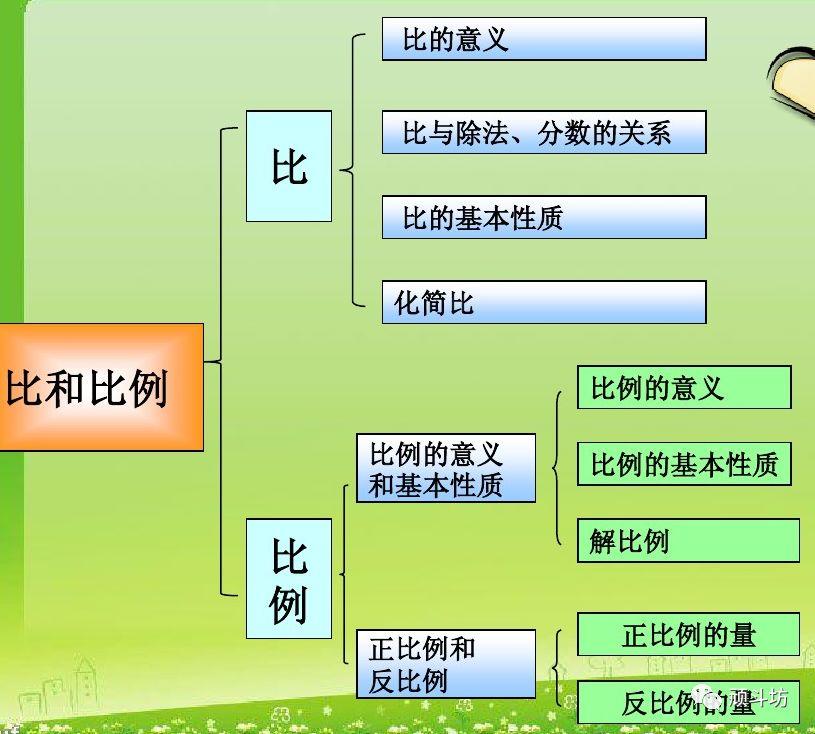 学习总结|小学数学知识体系