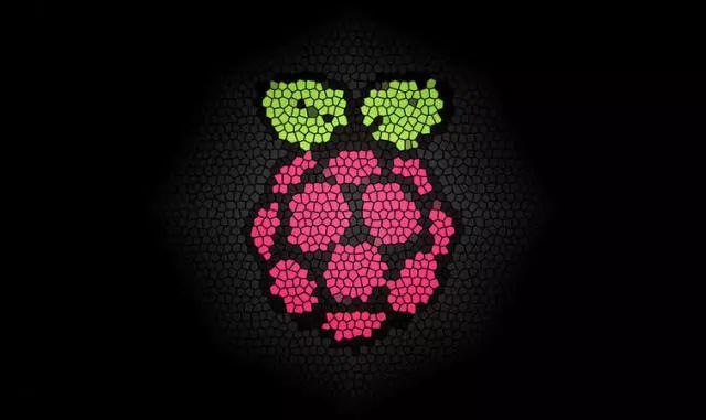 树莓派下载，卸载软件
