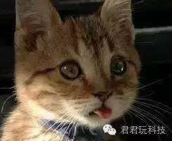 我教“孩子”在10小时内精通Scratch-第1小时:培养兴趣 我教“孩子”在10小时内精通Scratch-第1小时:培养兴趣