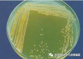 科学思维养成记第三讲：动态的思考问题
