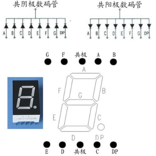 Arduino基础入门篇14—跳动的数码管