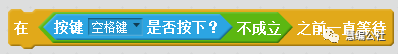 scratch重要脚本——在（  ）之前一直等待