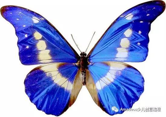 有趣的数学旅行（二）—— 哪个更加对称