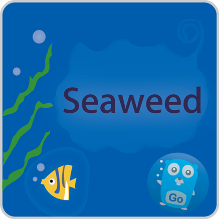 树莓派3下seaweedfs docker镜像编译、测试