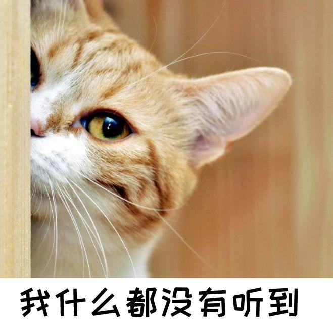 每周一课 | Scratch：钱袋在哪里