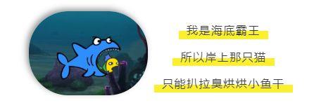 课程实录 | 一二年级的编程课：猫和老鼠