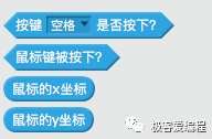 Scratch 基础教学|第十课: Scratch基本组件之侦测类功能块详解