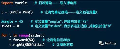 Python：海龟绘图（四）