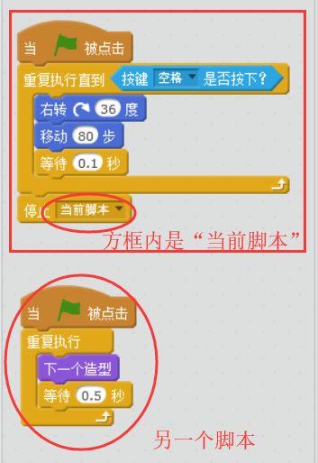 【Scratch工具介绍】控制积木（part 1）