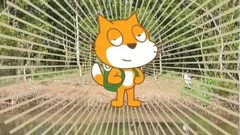 Scrach教程|小橘猫游世界Vol.03 森林背景与小橘猫的运动
