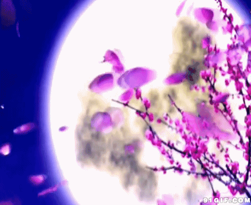 Scratch克隆之下雪中级版