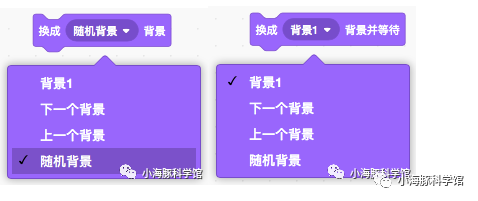 来了！Scratch3.0新变化全面解读