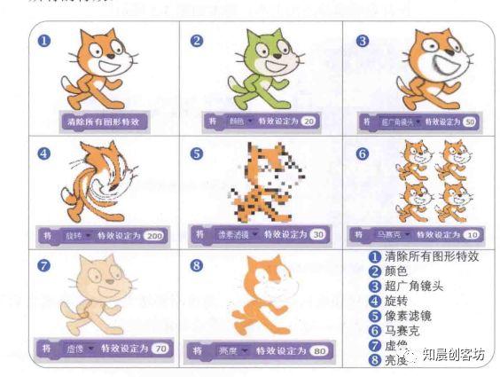 Scratch外观和控制一--外观