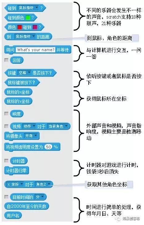 Scratch声音和侦测一--概念