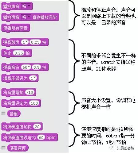 Scratch声音和侦测一--概念