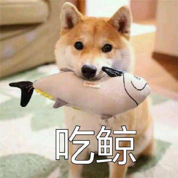 继大学和高中之后 日本将编程列为小学必修课 继大学和高中之后 日本将编程列为小学必修课
