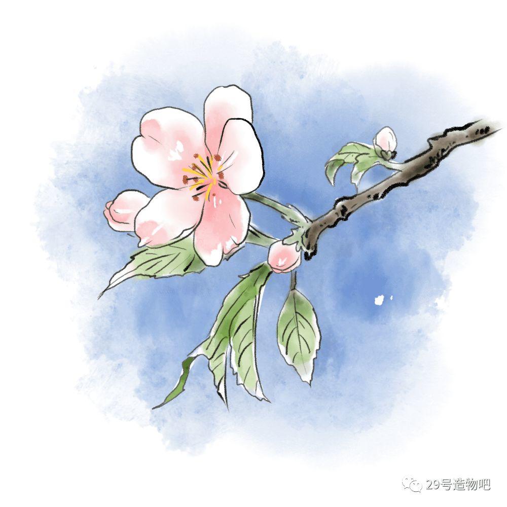 【Scratch编程】第十讲:樱花飘落 【Scratch编程】第十讲:樱花飘落