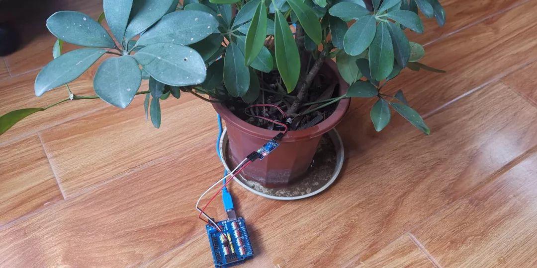 Arduino教程┃认识模拟土壤温度传感器