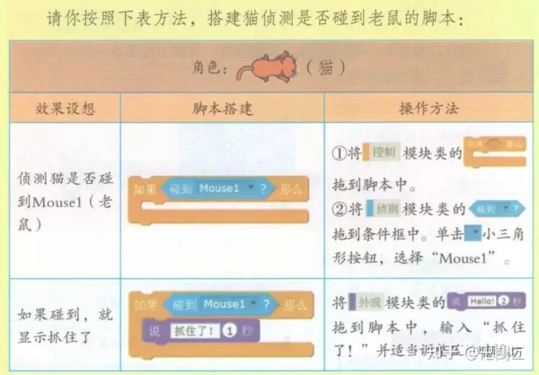 创意计算|入门课(6)猫抓老鼠 创意计算|入门课(6)猫抓老鼠