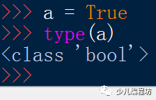 小知识：布尔值
