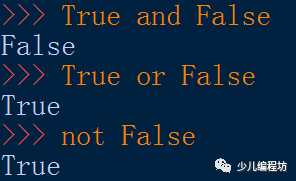 小知识：布尔值