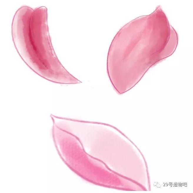 【Scratch编程】第十讲:樱花飘落 【Scratch编程】第十讲:樱花飘落
