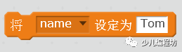 小知识：常量和变量