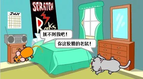 【Scratch编程】第四讲：猫和老鼠