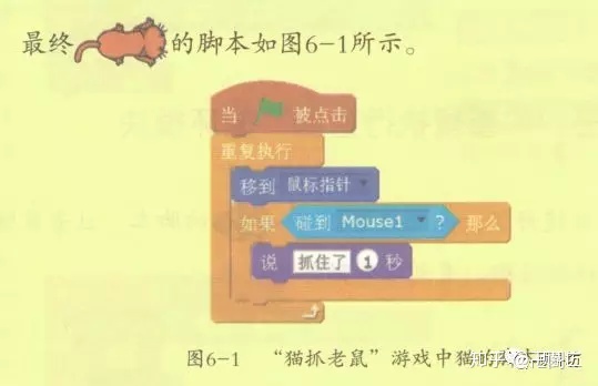 创意计算|入门课（6）猫抓老鼠