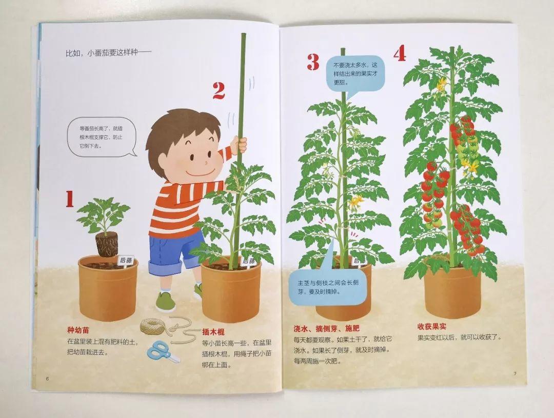 一年3万的少儿编程课，全部精髓都在这