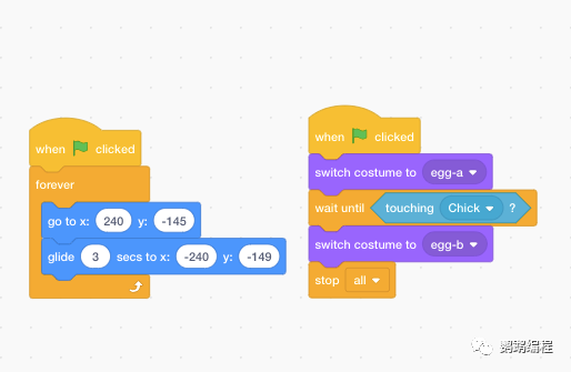 Scratch 母鸡保护鸡蛋