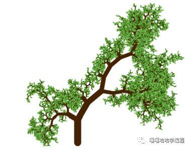 惊艳的毕达哥拉斯树