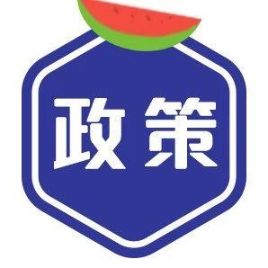 一文看完编程教育近9年政策