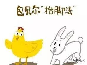 编程与数学：用Scratch解鸡兔同笼问题