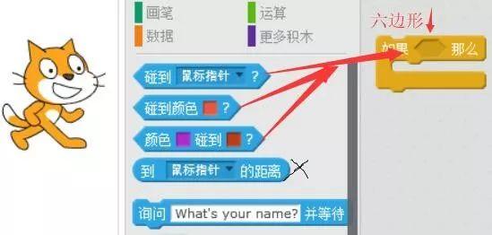 scratch少儿编程第一季——12、控制，让一切尽在掌握。