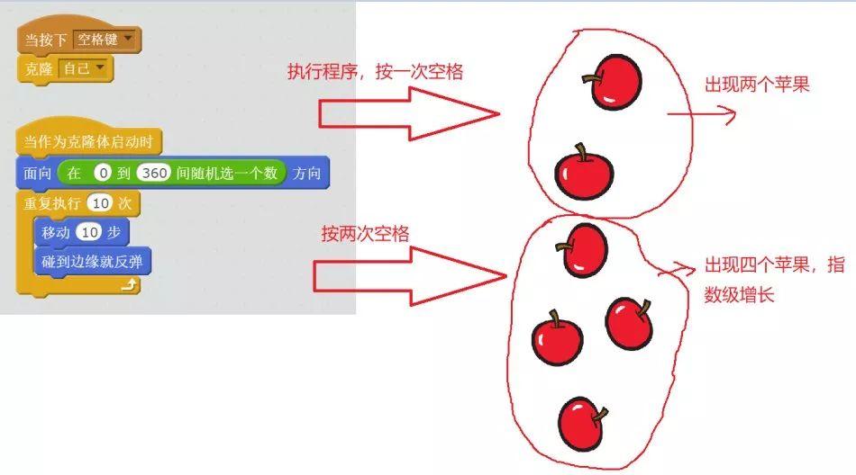 Scratch克隆及其应用