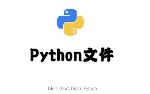 少儿Python基础（6） | 文件（1）