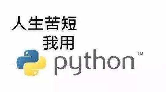 python青少年编程第三季——02、山坡论剑：C++和python代码区别