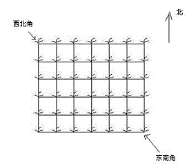 信息学奥赛题库- 摘花生